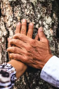 Una pareja ha colocado sus manos una encima de la otra sobre el tronco de un abedul, símbolo de la conexión entre ellos y con la naturaleza.