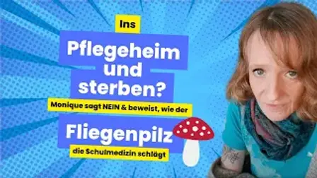 Mythen über Fliegenpilz Microdosing: Aufklärung über gängige Missverständnisse 4 Monique räumt im Interview auf mit Mythen über Fliegenpilz Microdosing und wie der Pilz ihr wirklich half