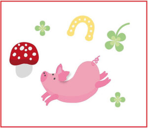 Por qué las setas son símbolo de buena suerte