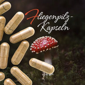 Fliegenpilz Kapseln von MamaMuscaria