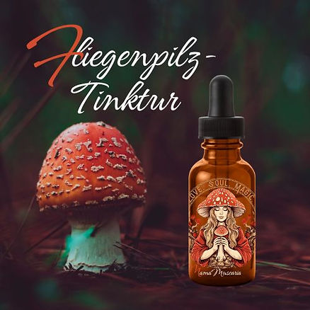 Tintura de Agárico de mosca - Consejos de uso y efecto 3 Tintura de agárico de mosca en frasco con pipeta de 30 ml de MamaMuscaria
