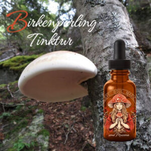 Tintura di funghi di betulla