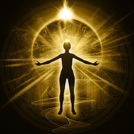 Fliegenpilz Microdosing & Meditation: Die perfekte Ergänzung 2 image 173