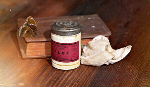 Unguento a base di Amanita muscaria molto versatile