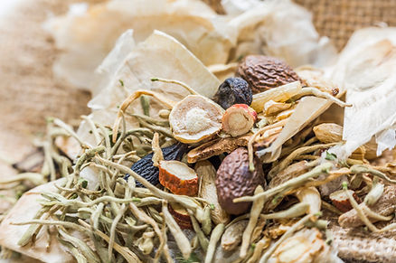 Reforzar el sistema inmunitario de forma natural: el hongo reishi como clave para un estilo de vida activo y saludable 1 Reishi y otros hongos medicinales