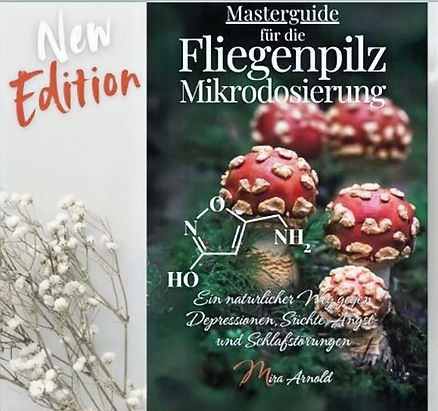 Diferencias y Ventajas: Microdosificación de Agárico de mosca frente a macrodosificación 4 image 231