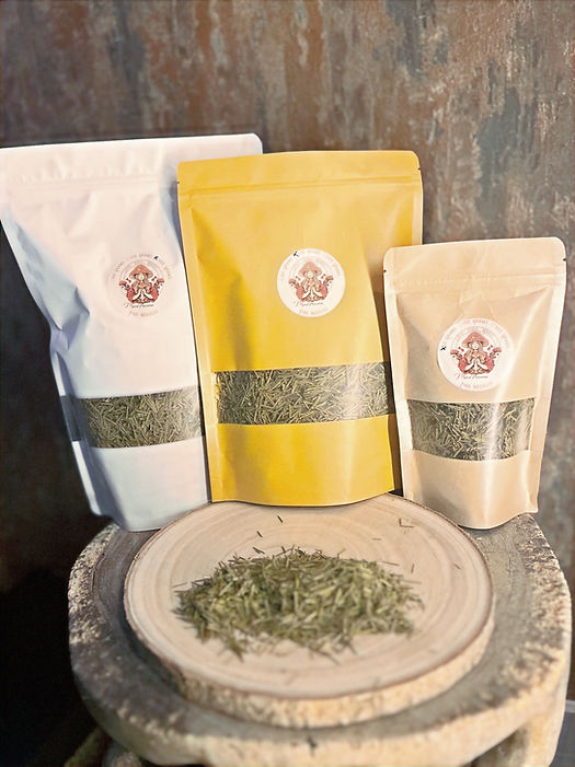 Tè agli aghi di pino e salute: protezione e benefici aromatici da provare! 3 image 49