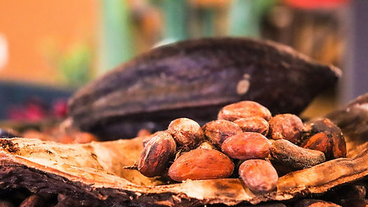 Alquimia erótica - cacao, Agárico de mosca y loto azul: ceremonias del cacao - Un descubrimiento espiritual 2 image 61