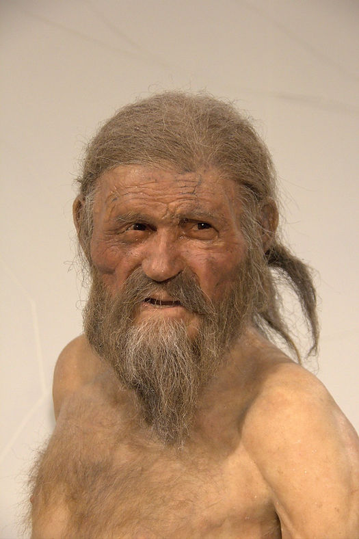 El uso tradicional de los hongos medicinales y medicinales: una mirada a su historia 1 Foto de Ötzi