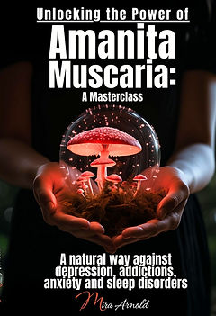 Microdosificación de Amanita Muscaria: su camino hacia la salud y el bienestar 1 image 9