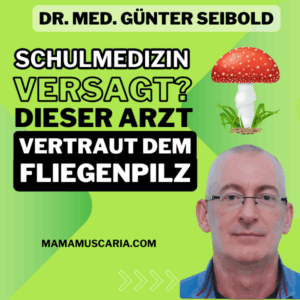 Médecine de l'amanite tue-mouches - un médecin se prononce en faveur de l'amanite tue-mouches