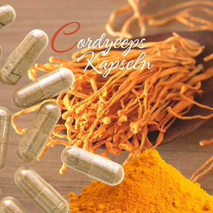 Cordyceps militares Kapseln von MamaMuscaria