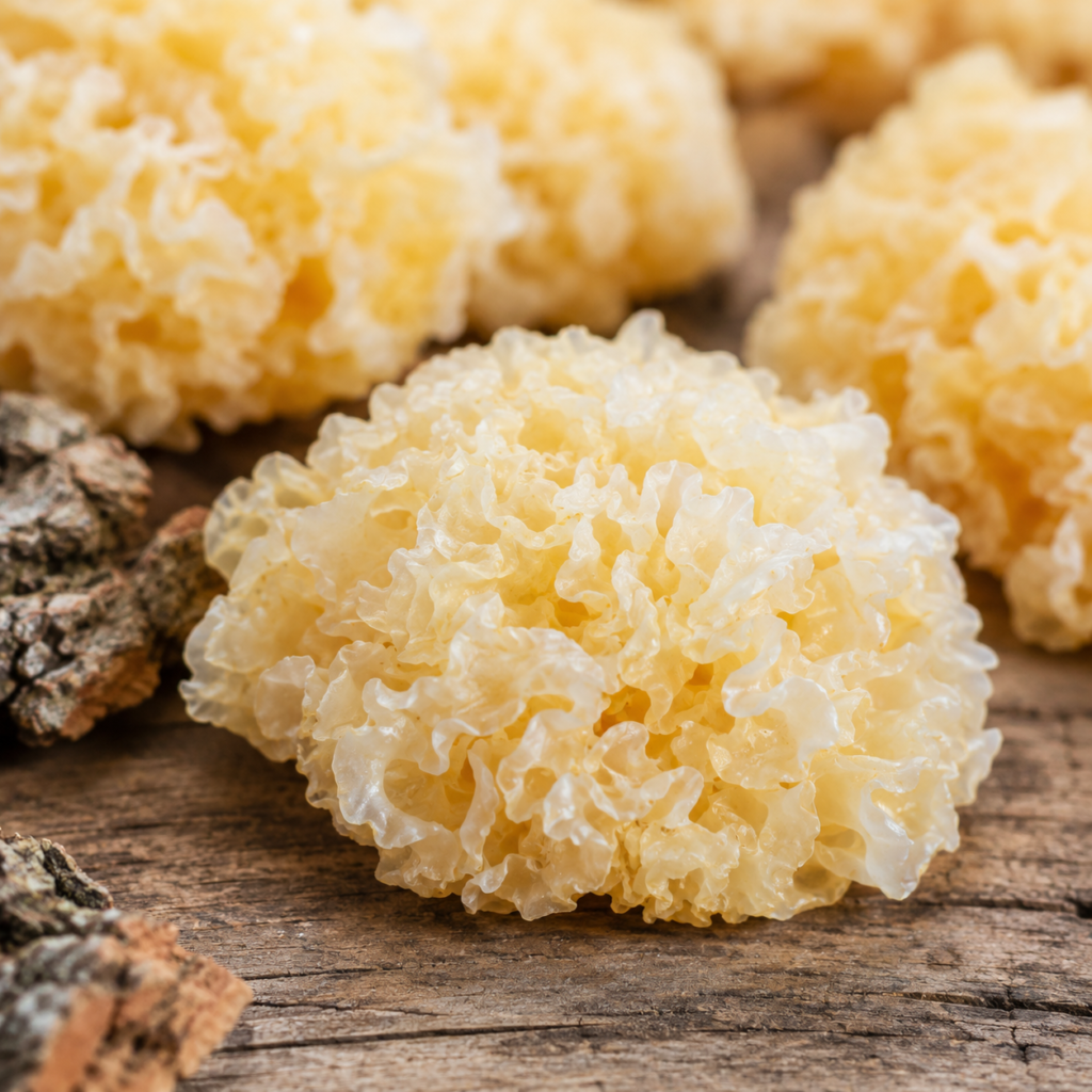 Varias setas fuciformis frescas, de color blanco cremoso, sobre una tabla de madera con un poco de corteza de árbol: materia prima para los cosméticos de Tremella.