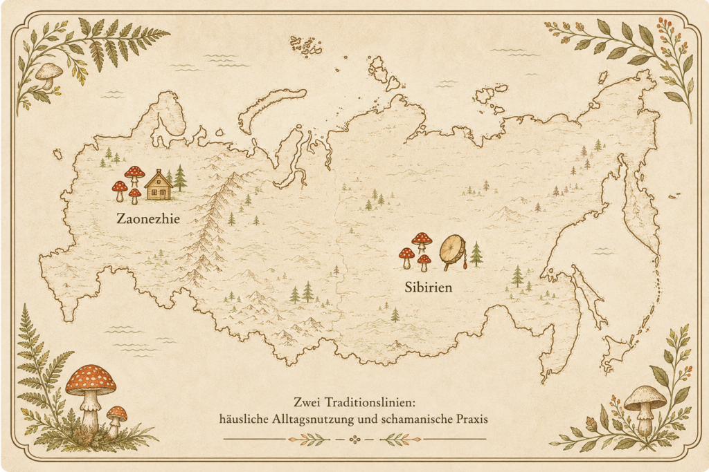 Dove era più viva la tradizione popolare russa? Cartina illustrativa stilizzata della Russia con due regioni evidenziate: Zaonezhie (uso domestico quotidiano del fungo velenoso) e Siberia (antica tradizione sciamanica) 