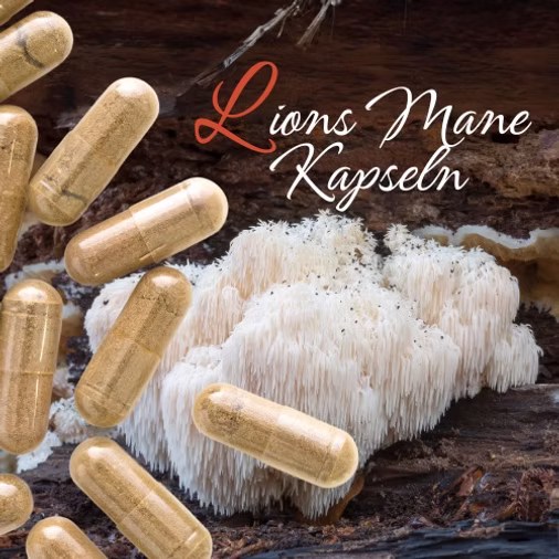 Effets secondaires de la crinière de lion - Capsules Lion'sMane de MamaMuscaria
