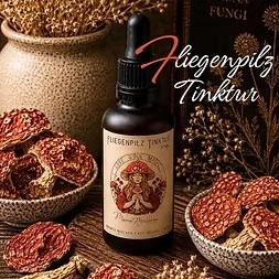 Fliegenpilze mikrodosieren - Fliegenpilz Produkte